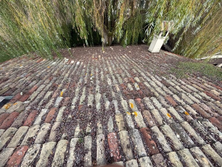 Toiture tuiles canal anciennes encrassees avant demoussage