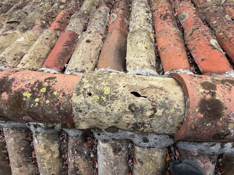 Tuile faitiere fissuree lichen a remplacer